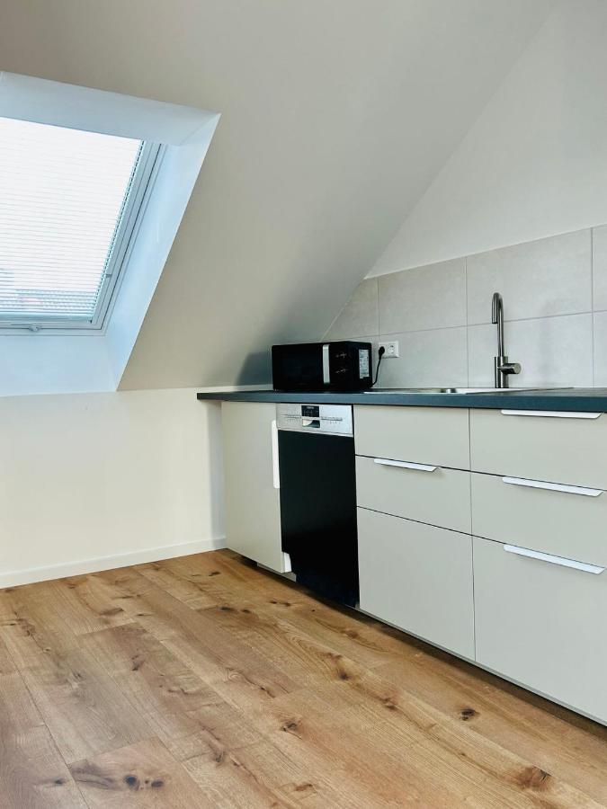 Ruheoase - Premium Suite Karlsruhe Eksteriør billede